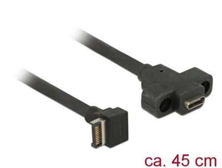 Delock Kabel USB 3.1 Gen 2 key A 20 pin samec >