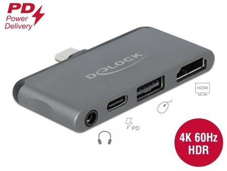 Delock Mini dokovací stanice pro iPad Pro s 4K 60
