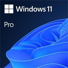 OEM Windows 11 Pro 64Bit Eng 1pk DVD
